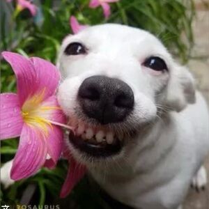 Meet your Posher, Estefania